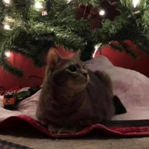 Meet your Posher, Steve-karen